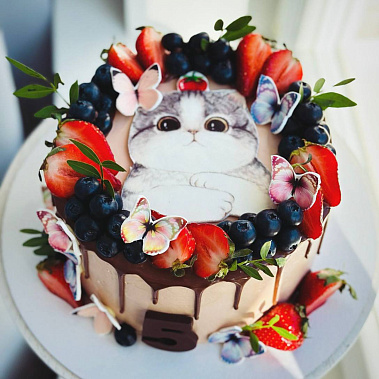 Торт "Котенок" купить - салават.сладкоежкин.рф